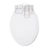 White Oblong Wood Toilet Seat