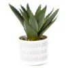Artificial Aloe In Line & Dot Ceramic Pot