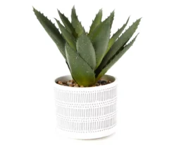 Artificial Aloe In Line & Dot Ceramic Pot