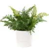 Artificial Fern In White Ceramic Pot