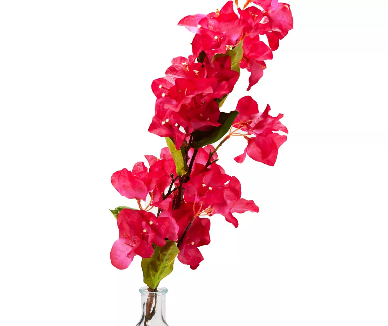 Grecian Getaway Red Artificial Bougainvillea Stem With Glass Vase - Image 2